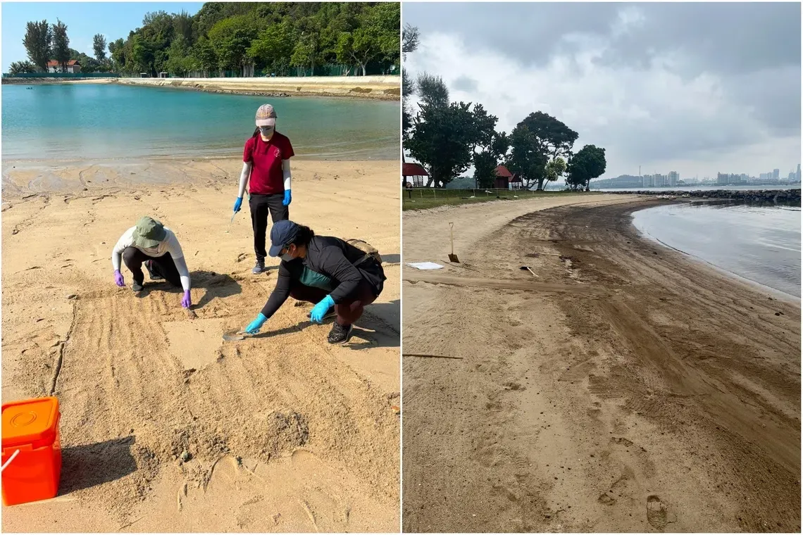 Microbes can clean oil spills faster when sand has more oxygen, study finds