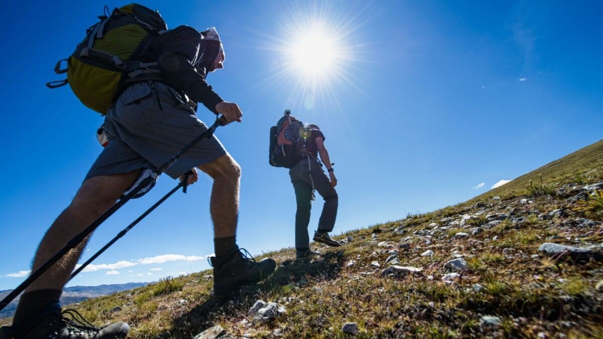 AI-Powered Mountain Trek Ends in Rescue: A Cautionary Tale