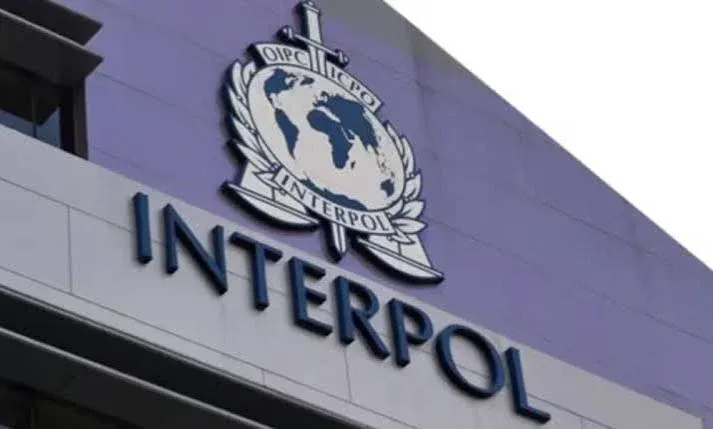 INTERPOL Arrests Two Suspects in Nigeria Over $2.4m Fraud
